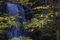 Looking Glass Falls, North Carolina, United States Royalty Free Stock Photo