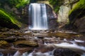 Looking Glass Falls, in Pisgah National Forest, North Carolina.