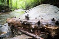 Looking Glass Falls Pisgah National Forest North Carolina Royalty Free Stock Photo