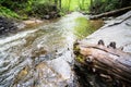 Looking Glass Falls Pisgah National Forest North Carolina Royalty Free Stock Photo