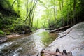 Looking Glass Falls Pisgah National Forest North Carolina Royalty Free Stock Photo