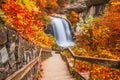 Looking Glass Falls in Pisgah National Forest, North Carolina, USA Royalty Free Stock Photo