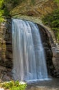 Looking Glass Falls surrounded with greenery. Royalty Free Stock Photo