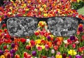 Looking through glasses to bleach tulips field. Color blindness. World perception during depression. Medical condition. Health and