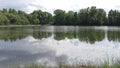 Looking through the grass at the ripples of the lake surface with reflection of the dense forest on the other side of the wide Royalty Free Stock Photo