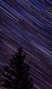 Looking at Lac Gagnon night sky Royalty Free Stock Photo