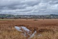 A giant footprint on castle Semple Marshes on the Loch at Lochwinnoch in Scotland