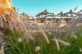 Beach scene, looking from the long grass to the beach.