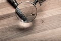 Looking through a magnifying glass at a knife for crime scene clues Royalty Free Stock Photo