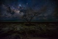 Looking for the Milky Way in Big Pine Key, Florida