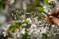 Looking in myopia glasses on flowers in focus