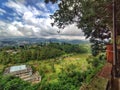 looking at the natural atmosphere of the city which is clad in a stretch of green and shady trees