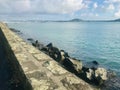 Okahu Bay wharf, shot from Tamaki Drive roadside. Royalty Free Stock Photo