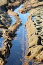 Erosion Patterns Rock Platform Avoca Beach