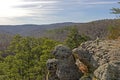 Looking out on a Forest Panorama Royalty Free Stock Photo