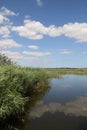 Looking out on Hickling Broad