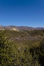 Looking out the Ojai Valley Royalty Free Stock Photo