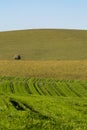 Looking out over a rural Sussex landscape on an early summer\'s day Royalty Free Stock Photo