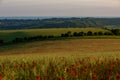 Looking out over the South Downs towards the Sussex coast, with a field of poppies in the foreground Royalty Free Stock Photo