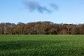 Looking out over Sussex farmland with green winter crops, and woodland behind