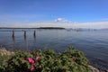 Looking out over Casco Bay in PortlandMaine Royalty Free Stock Photo