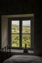 Looking out window with old thick imperfect glass of old country home with iron bedstead and chenille bedspread an pottery water