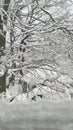 looking out window to winter wonderland of snow covering everywhere (NEW ENGLAND) Royalty Free Stock Photo