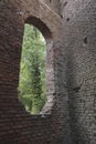 Looking outside from the inside of a ruin in the forest Royalty Free Stock Photo