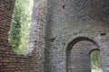 Looking outside from the inside of a ruin in the forest Royalty Free Stock Photo