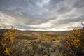 Looking Over the Chalk Creek Valley Royalty Free Stock Photo