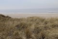 Looking over the dune-grass over the North Sea at the ilse of VLieland