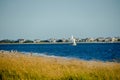 Looking over the dunes as a sailboat goes by on the ocean.