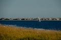 Looking over the dunes as a sailboat goes by on the ocean.