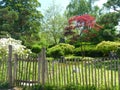 Looking over the fence into a Japanese garden