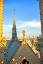 Stone Angel statue on the Notre Dame`s roof Royalty Free Stock Photo