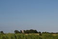 English countryside: distant church tower, woodland and reeds