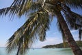 Looking through the palm trees out to see across Sariee Beach, Koh Tao, Thailand Royalty Free Stock Photo