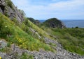 looking past the lush green hills towards the Atlantic ocean Royalty Free Stock Photo