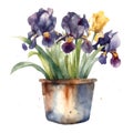 A Pop of Purple: Irises in a Pot for Your Next Creative Project AI Generated