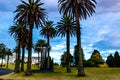 Looking into the pond. Auckland Domain,Auckland New Zealand Royalty Free Stock Photo