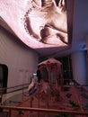 Real dinosaur fossils stored near 600 meters high in Ping`an Building, Shenzhen, China