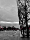 Lost on the Champs Elysees - Paris Royalty Free Stock Photo