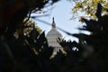 Looking at the Rotunda of the U.S. Capitol Building through a Group of Trees