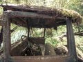 Looking in Rusty Moss Covered Truck Window Abandoned in the Forest Royalty Free Stock Photo