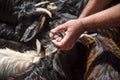 Looking at the sheep's teeth for the feast of the lamb is intended to commemorate a passage from the Bible.