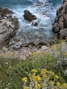 Looking into a small rocky bay with waves and surf and spray