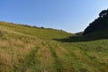 Looking into small valley between fields and wood