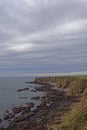 Looking south along the dramatic rugged Coastline of East Scotland from the Coastal Path near to Auchmithie.