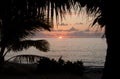 Looking at a sunset through the palm trees in Tonga Royalty Free Stock Photo