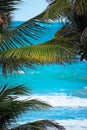 Looking Through To Palm Leaves To The Caribbean Blue Sea